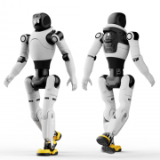 <strong>很多同类产物遍偏</strong>